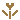 ��